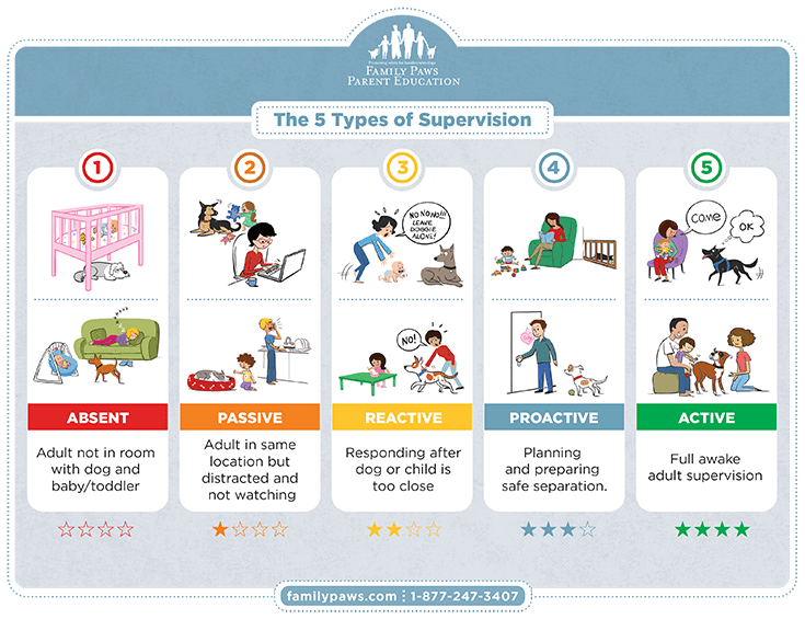 5 Types of Dog Kid Supervision