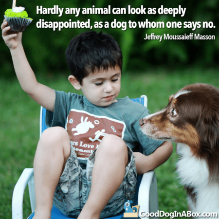 Dog Quotes: Jeffrey Moussaieff Masson - Good Dog in a Box