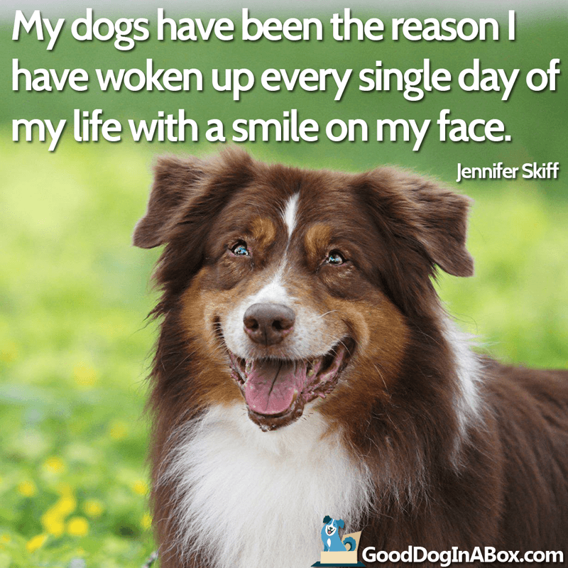 Dog Quotes Jennifer Skiff