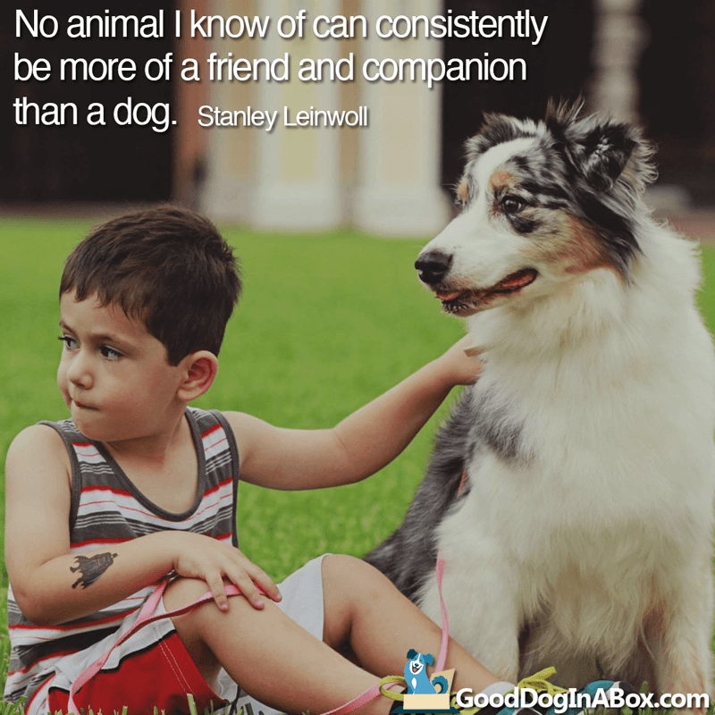 Dog Quotes Stanley Leinwoll
