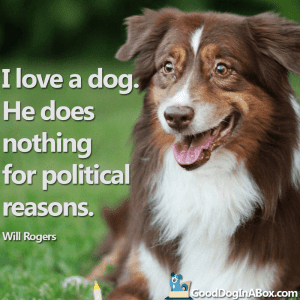 Dog Quotes Will Rogers
