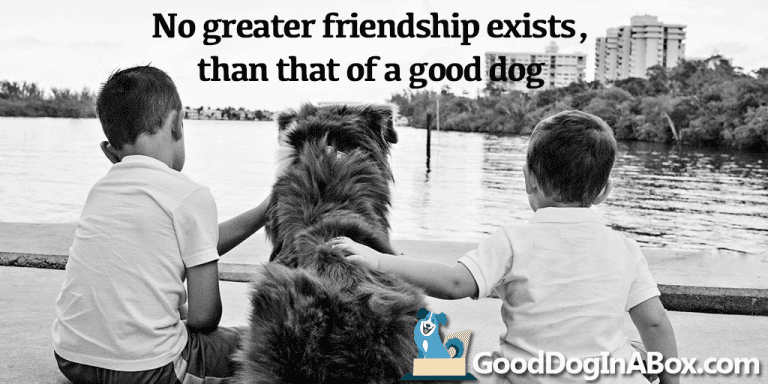 dog-quotes-friendship-fb1024x512 - Good Dog in a Box