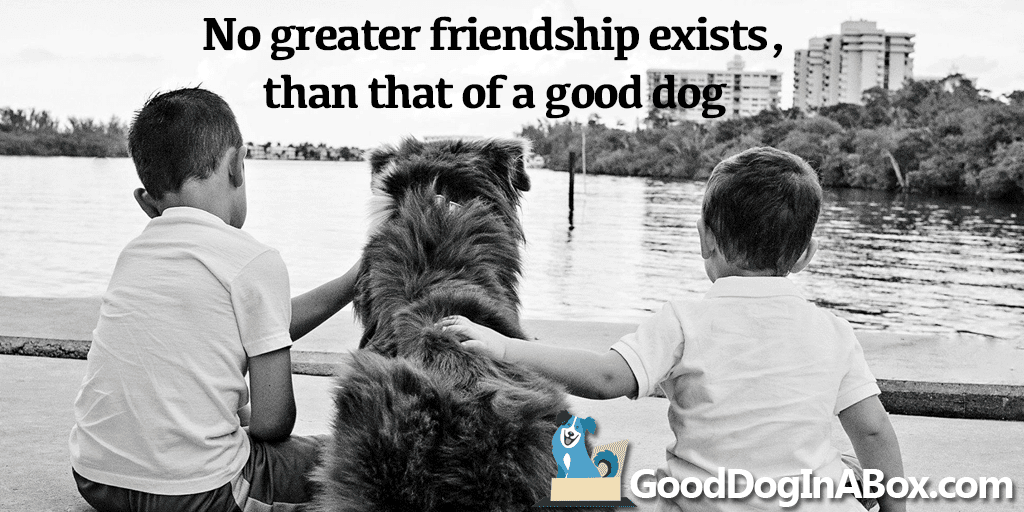 Dog Quotes: Friendship - Good Dog in a Box
