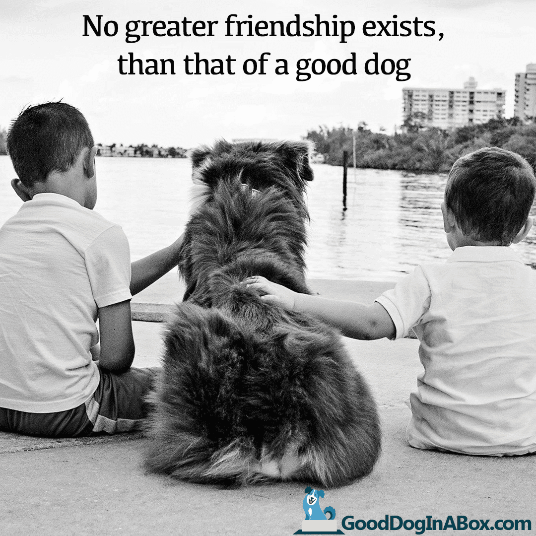 Dog Quotes: Friendship - Good Dog in a Box