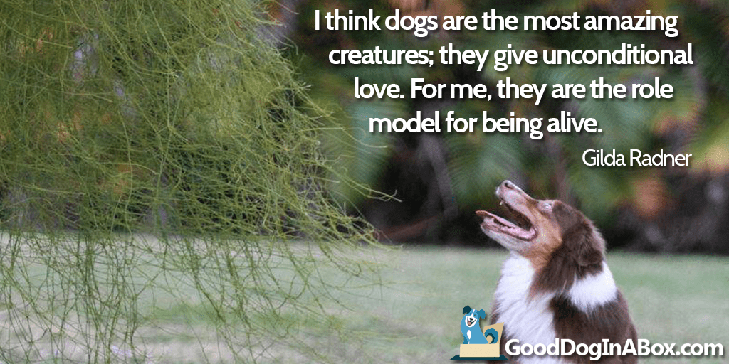 Dog Quotes: Gilda Radner - Good Dog in a Box