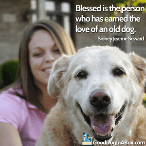 Dog Quotes - Old Dog