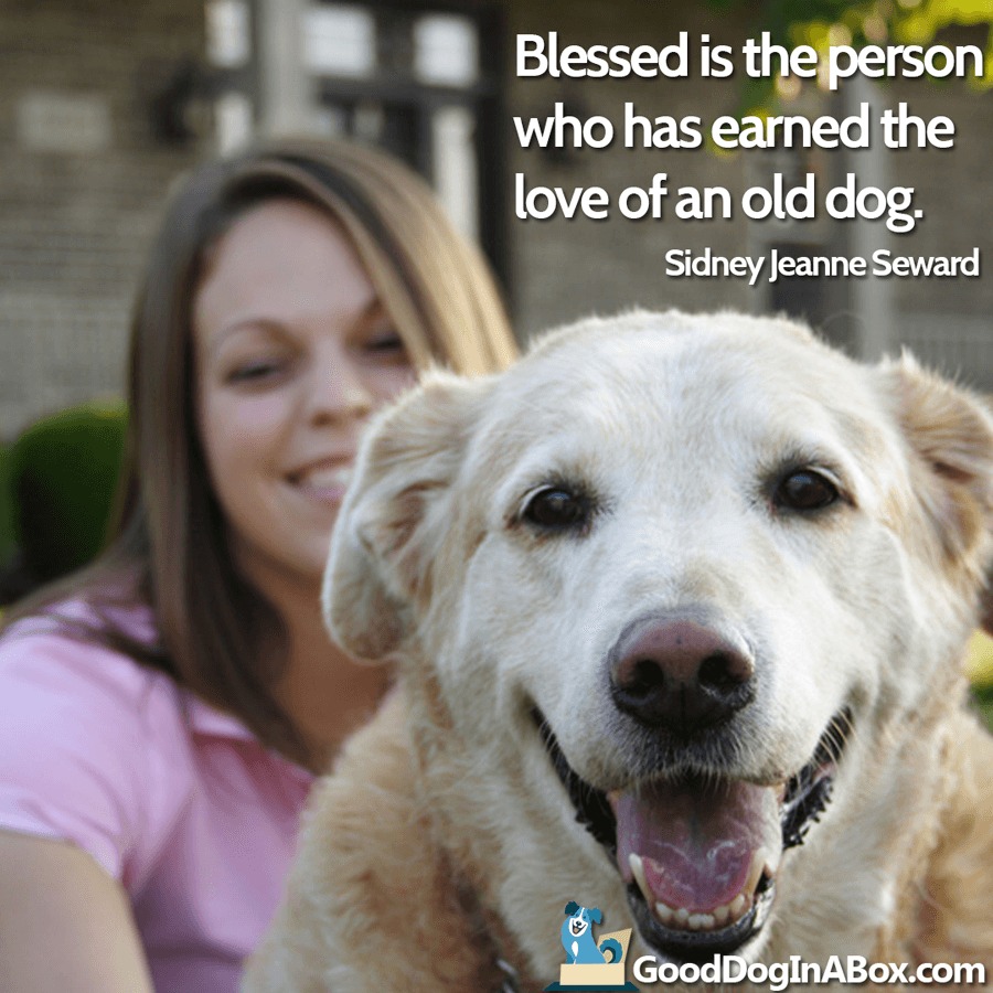 Dog Quotes & Dog Pictures - Share with Your Friends