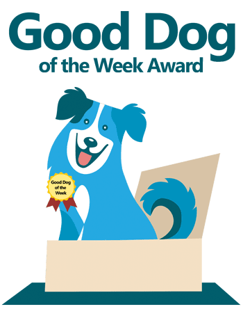 Good Dog of the Week Awards