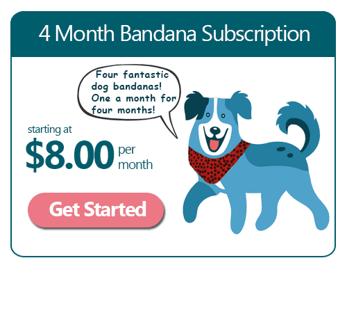 4 Month Dog Bandana Subscription