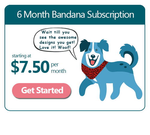 6 Month Dog Bandana Subscription