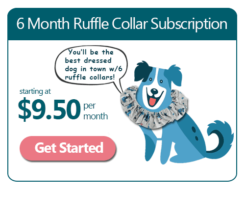 6 Month Ruffle Dog Collar Subscription