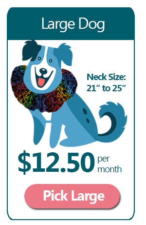 Large 12 Month Ruffle Dog Collar Subscription