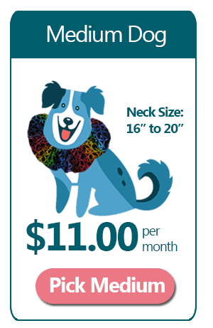 Medium 6 Month Ruffle Dog Collar Subscription