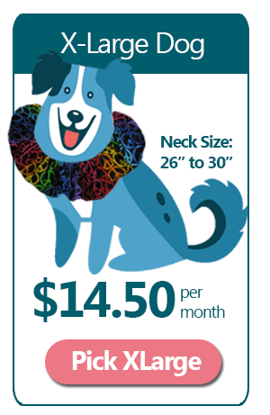 XLarge 6 Month Ruffle Dog Collar Subscription