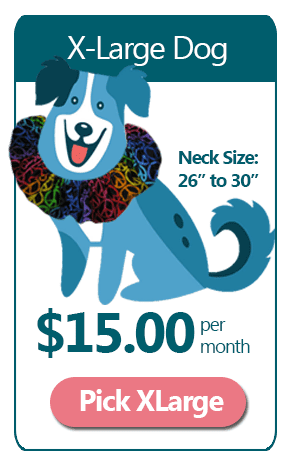 XLarge 4 Month Ruffle Dog Collar Subscription