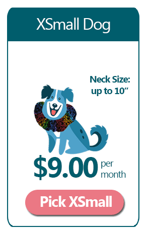 XSmall 12 Month Ruffle Dog Collar Subscription