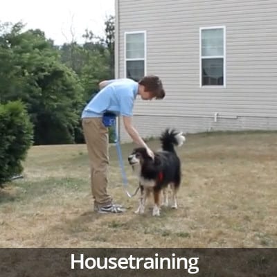 Welcome Home Housetraining Video