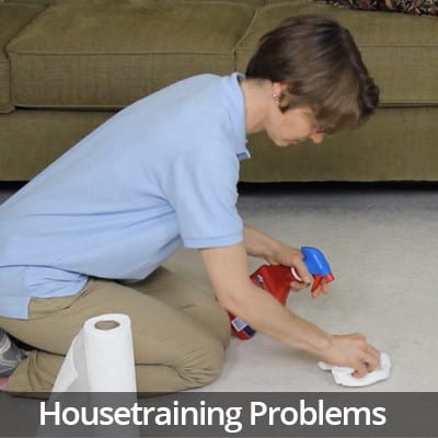Welcome Home Housetraining Problems Video