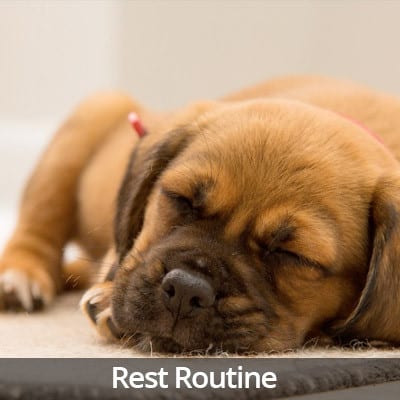 Welcome Home Rest Routine Video