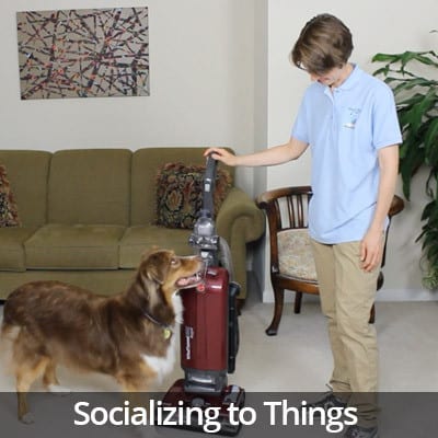 Welcome Home Socializing to Things Video