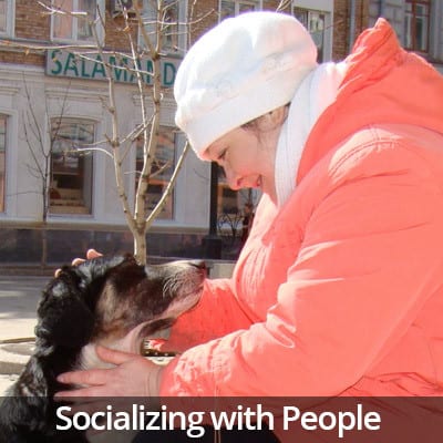 Welcome Home Socializing with People Video