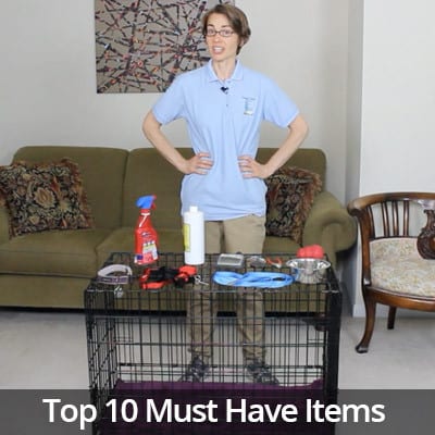 Welcome Home Top 10 Must Have Items for a New Dog Video