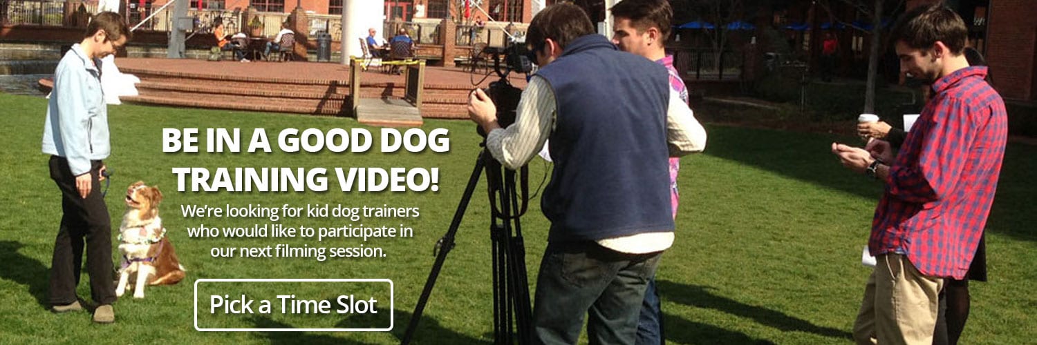 Be in a Good Dog Training Video