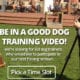 Be a Kid Dog Trainer in Good Dog's Training Videos
