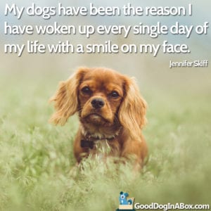 Dog Quote Cavalier King Charles Spaniel