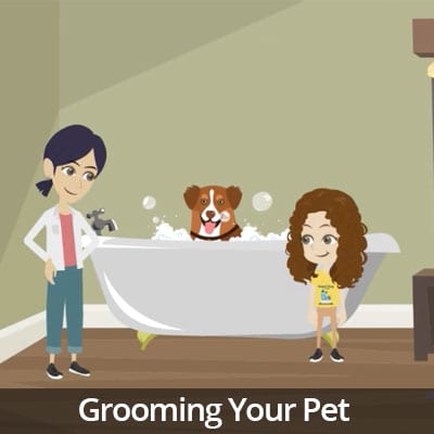 Being a Responsible Pet Owner Video Series: Grooming Your Pet