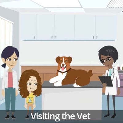 Being a Responsible Pet Owner Video Series: Visiting the Vet