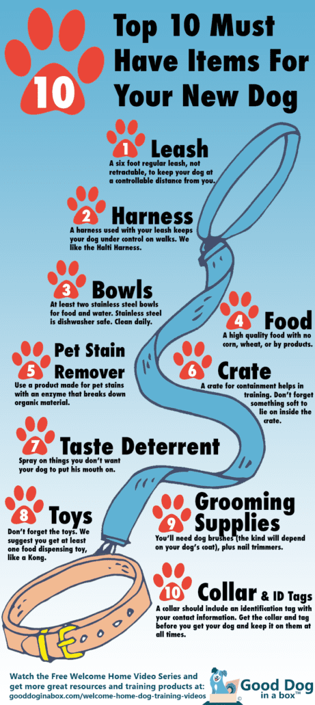 Top 10 Must Haves for Your New Dog