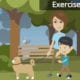 Exercise & Safety with your Pet