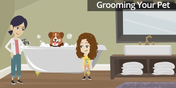 Grooming Your Pet