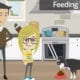How to Feed Your Pet