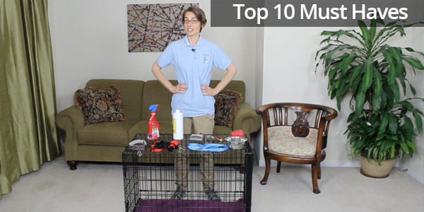 Top 10 Must Have Dog Items