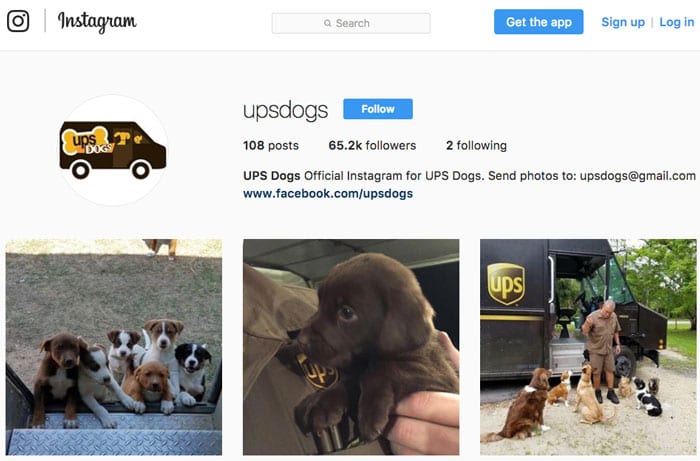 UPS Dogs on Instagram