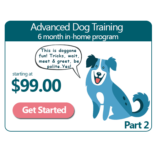 6 Month Advanced In-Home Dog Training Program