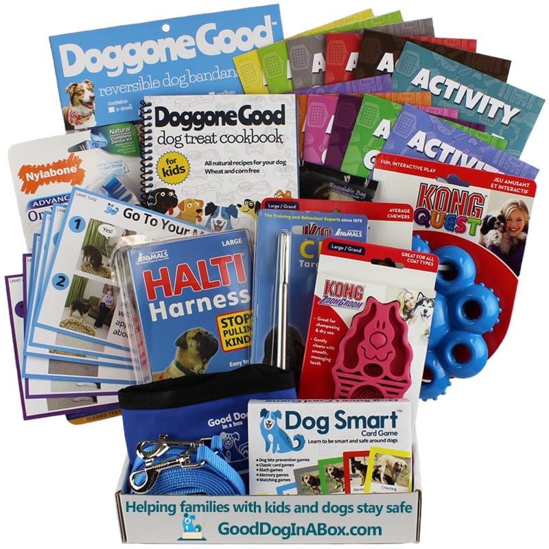 Good Dog In-Home Dog Training Program for Families