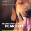 From Fearful to Fear Free Book