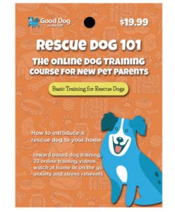 Rescue Dog 101 Online Dog Training