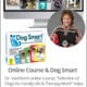 Dr. Risë VanFleet's Online Course + Dog Smart