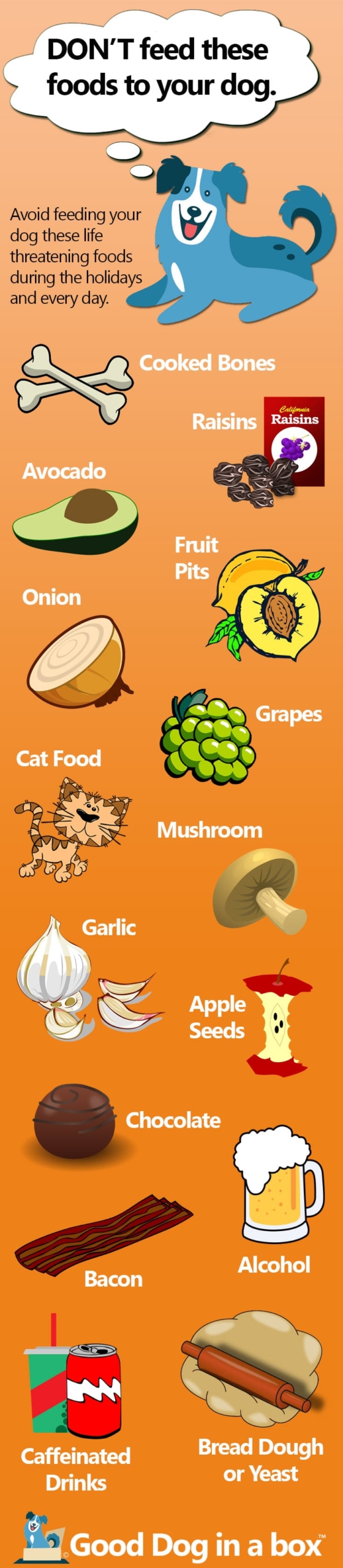 Don't Feed Your Dog These Foods Infographic