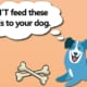 Don't Feed Your Dog These Foods