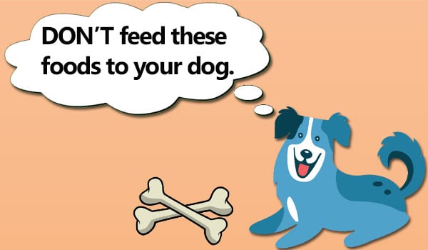 Don't Feed Your Dog These Foods