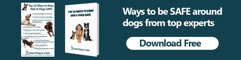Get Top 20 Ways to Keep Kids and Dogs SAFE free ebook