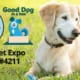 Dog Is Good & Good Dog in a Box at Global Pet Expo 2019